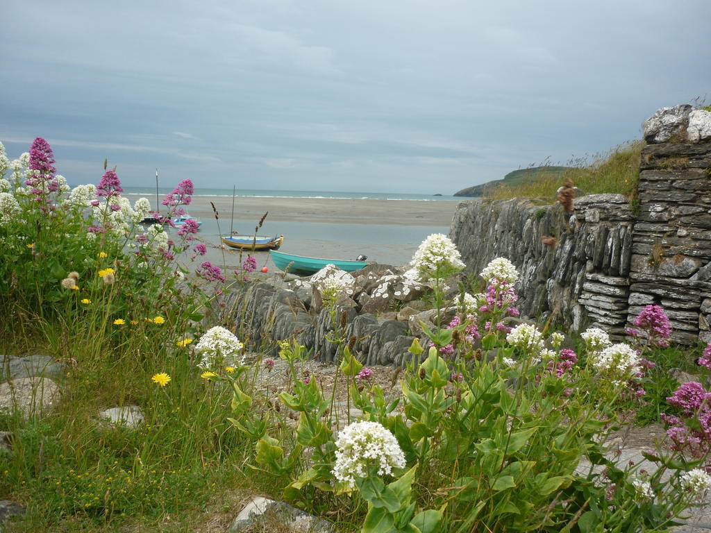Tabor House B&B Fishguard Exterior photo