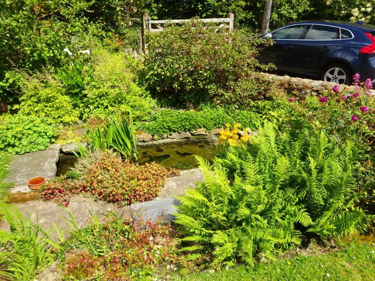 Tabor House B&B Fishguard Exterior photo